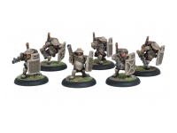 Mercenaries Hammerfall High Shield Gun Corps Unit (Box)