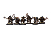 Circle Druids of Orboros (Box)