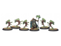 Circle Stoneward and Woldstalkers (Box)