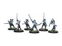 Legion Blighted Swordsmen Unit (Box)