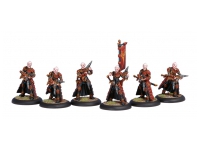 Skorne Venators Unit (Box)