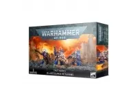 Space Marines: Bladeguard Veterans