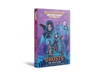 Realm Quest - Fortress of Ghosts (Paperback) (Bok 5)