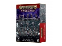 Vanguard: Hedonites of Slaanesh