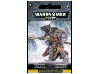 Space Wolves Njal Stormcaller in Terminator Armour (Resin)