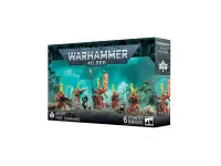Aeldari: Fire Dragons