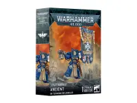 Space Marines: Ancient in Terminator Armour