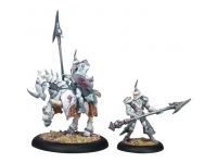 Retribution Fane Knight Skeryth Issyen (Box)