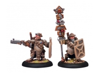 Mercenaries Hammerfall High Shield Gun Corps Officer and Standard Bearer