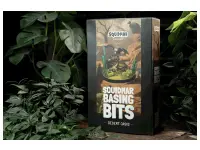Squidmar Miniatures: Squidmar Basing Bits - Desert Oasis
