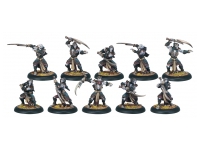 Legion Hex Hunters (Box)