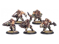Mercenaries Ogrun Assault Corps (Box)